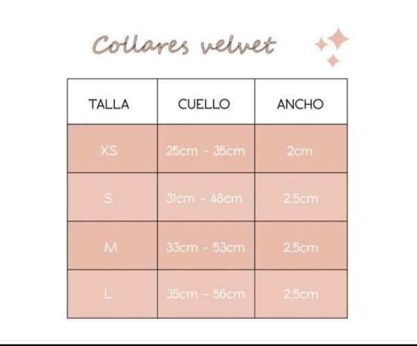 PACK BASICO VICHI