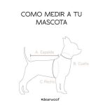 PACK BASICO VICHI