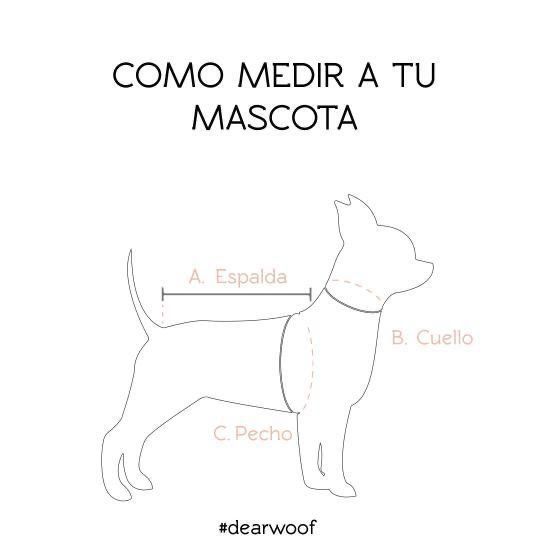PACK BASICO VICHI