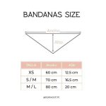 BANDANAS CUMPLEAÑERAS