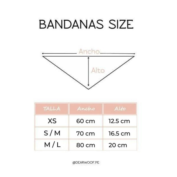 BANDANAS CUMPLEAÑERAS