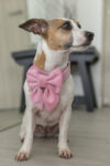 PACK BASICO VELVET ROSADO