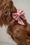 PACK BASICO VELVET MELOCOTON