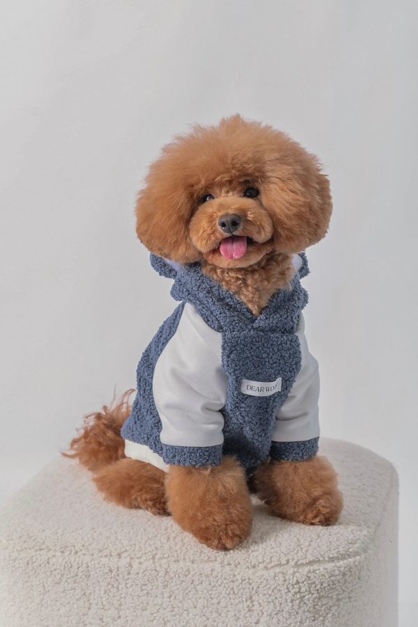 HOODIE BEAR