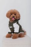 HOODIE BEAR