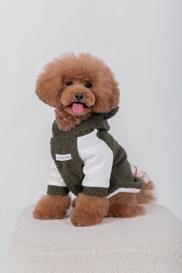HOODIE BEAR