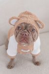 HOODIE BEAR