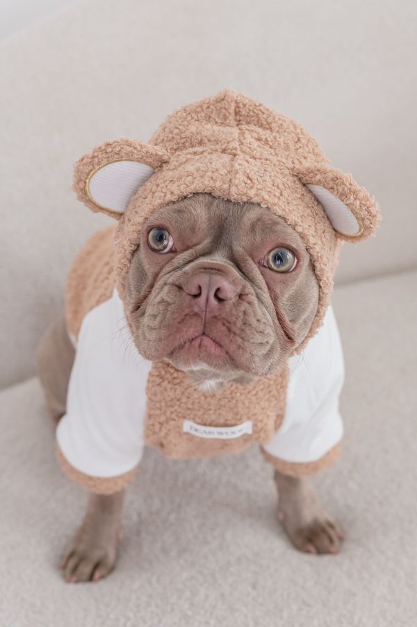 HOODIE BEAR
