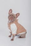 HOODIE BEAR