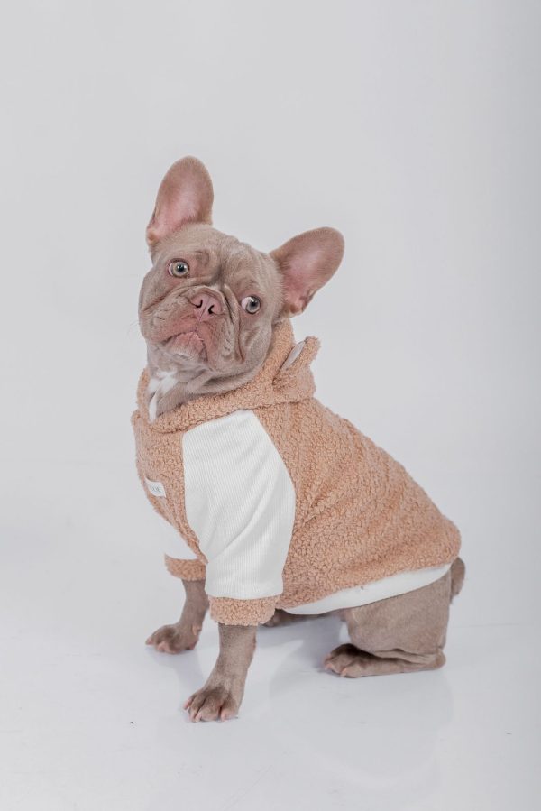 HOODIE BEAR