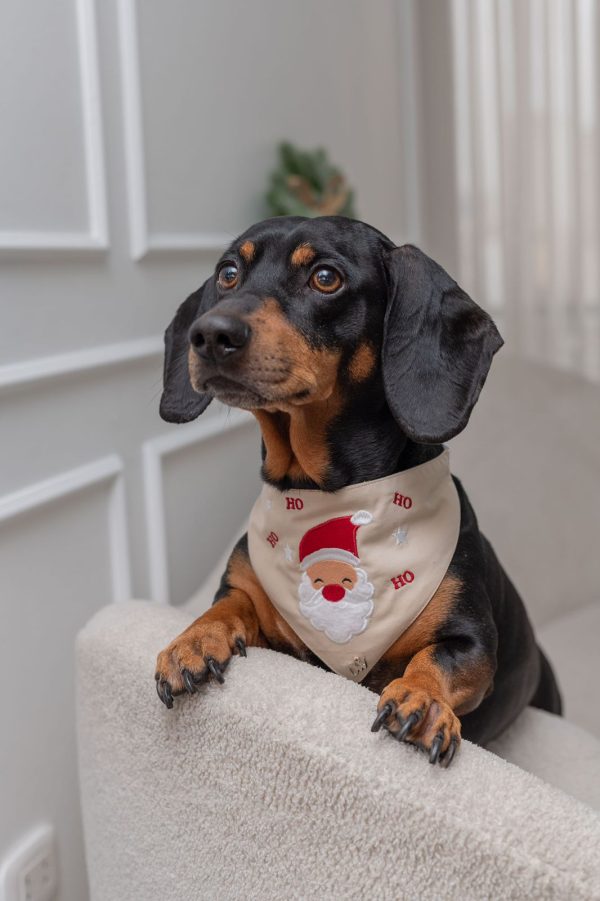 BANDANA NOEL
