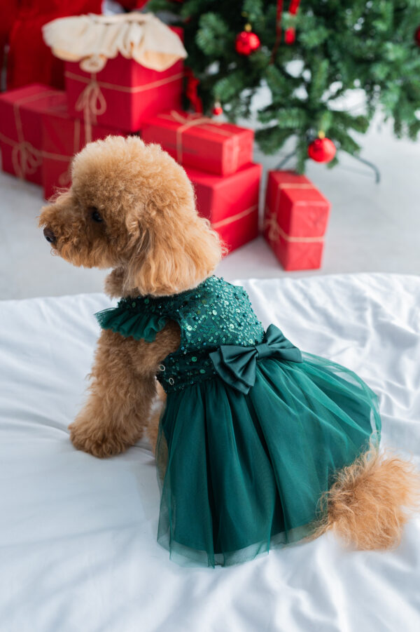 VESTIDO NOE