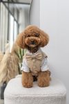 TRAJE NICOLAS