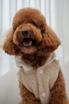 COZY JACKET