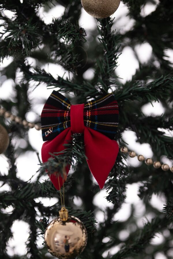 COLLAR + LAZO NOEL