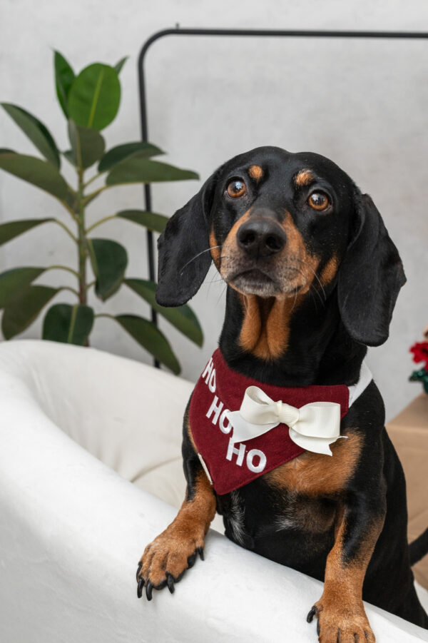 BANDANA HO HO HO