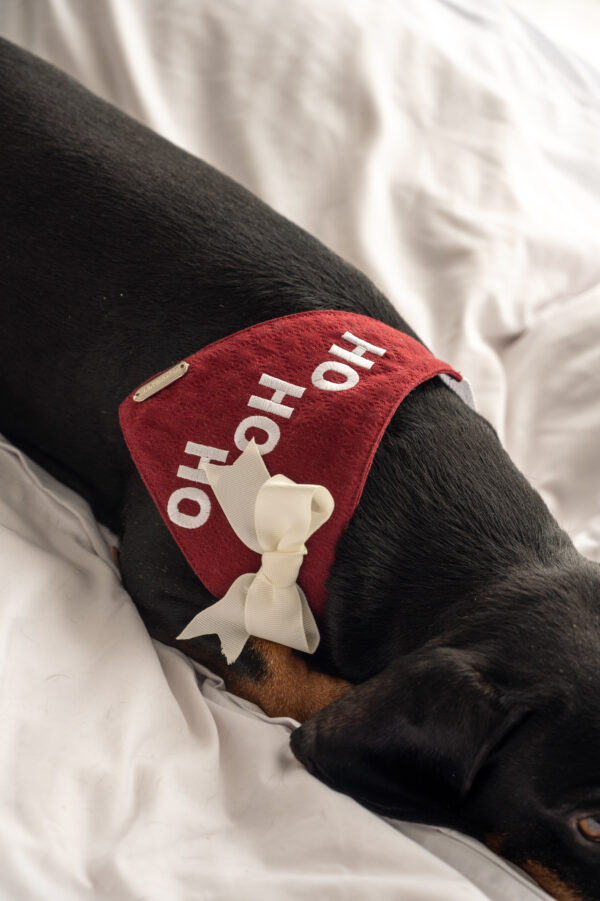 BANDANA HO HO HO