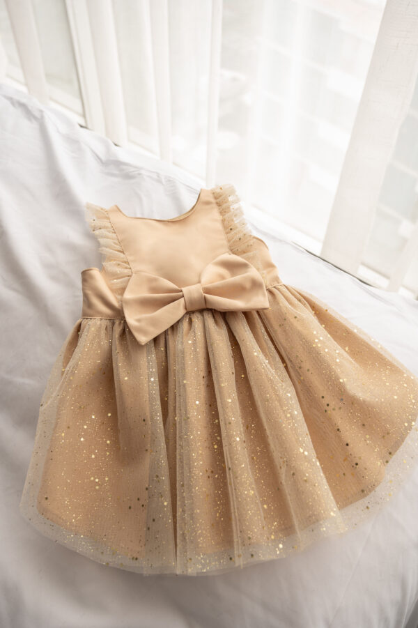 JOY DRESS