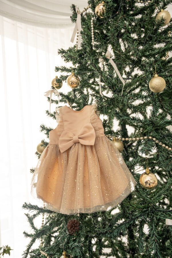 JOY DRESS