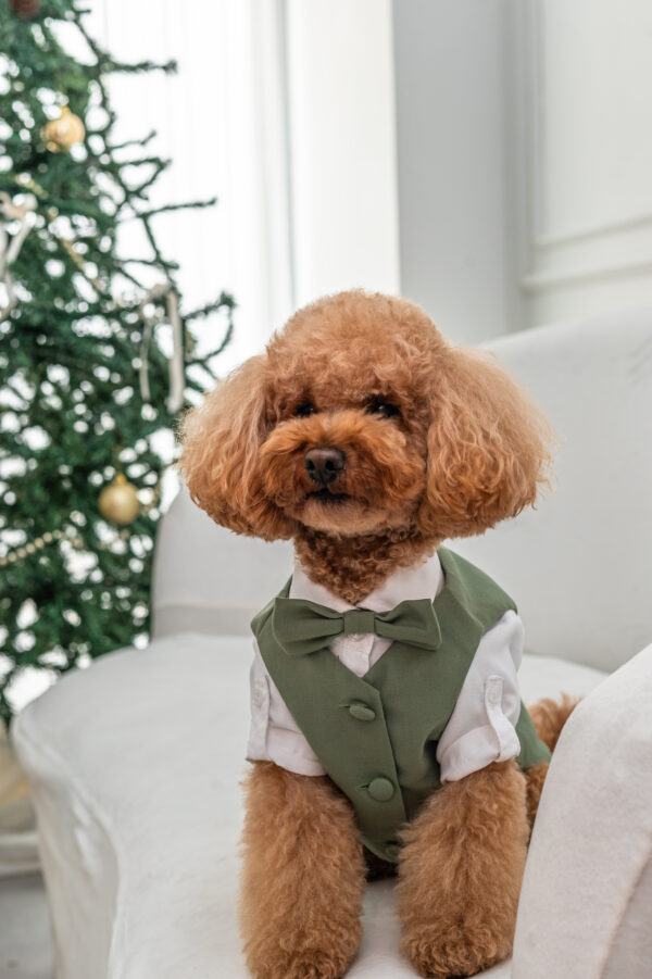 TRAJE NICOLAS
