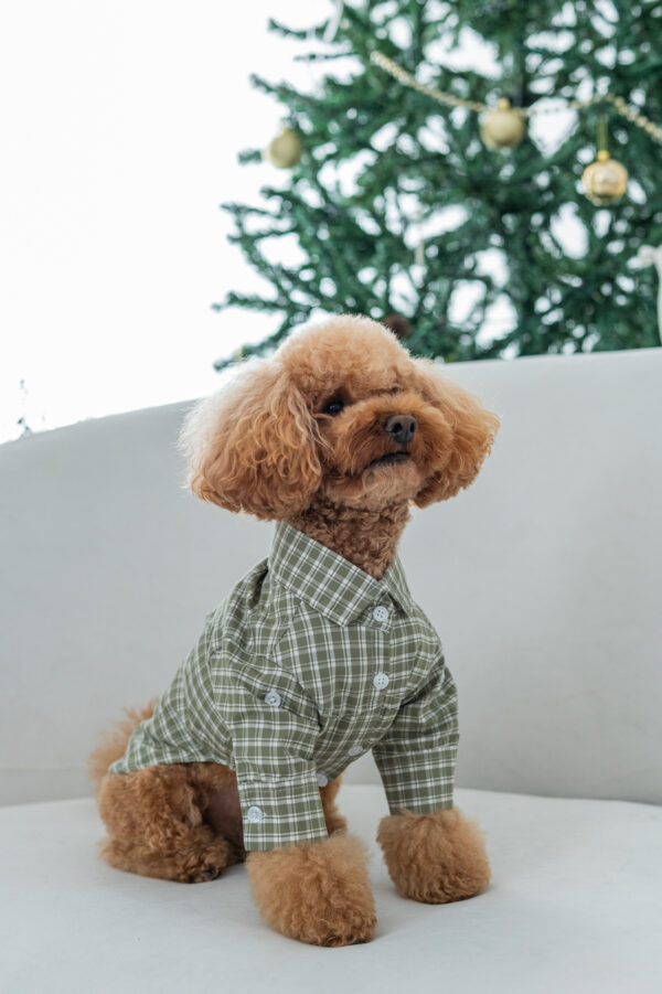 CAMISA GASPAR