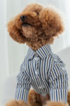 CAMISA CLEMENT