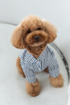 CAMISA CLEMENT