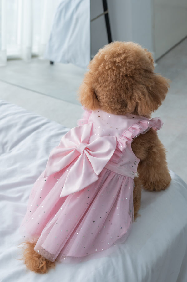 STELLA DRESS