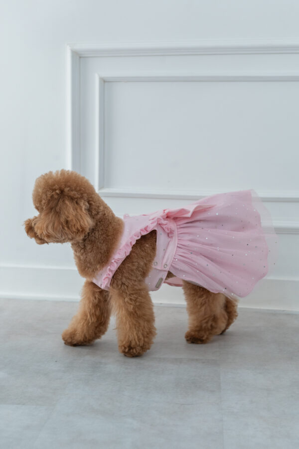 STELLA DRESS
