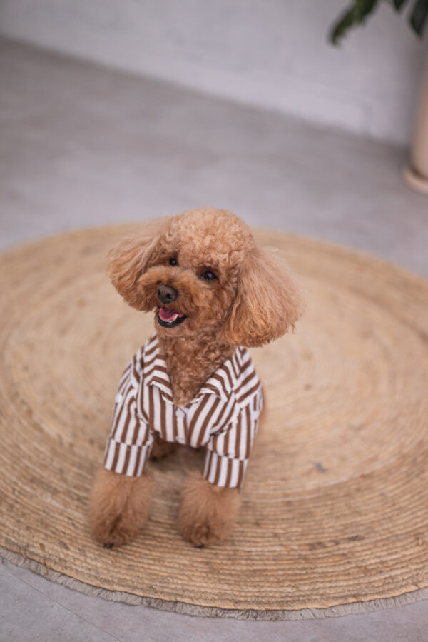 CAMISA NOAH