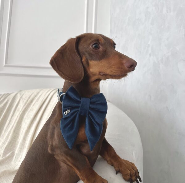 PACK BASICO VELVET AZUL