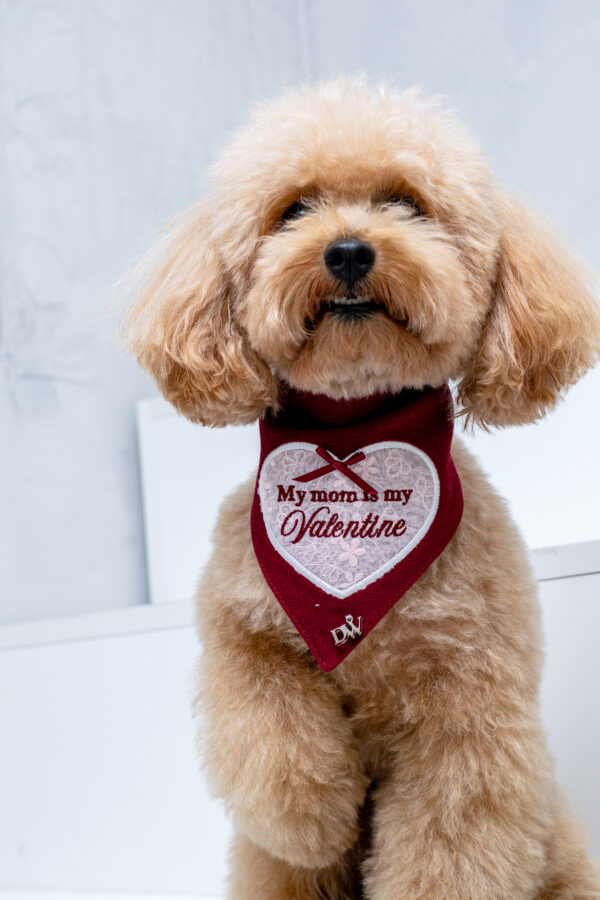 BANDANA HEARTBREAKER