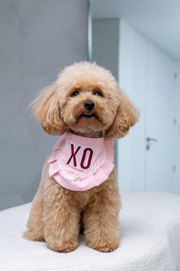 BANDANA SWEET XO