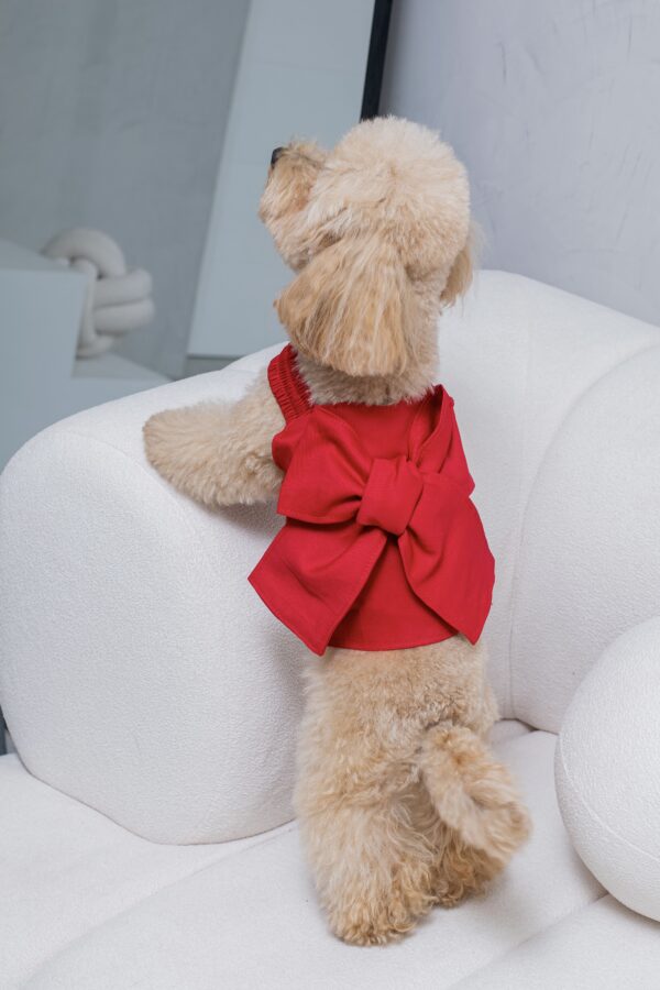 VALENTINA DRESS