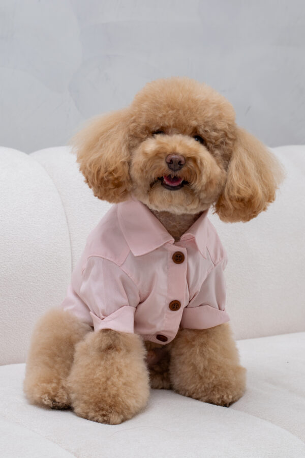 CAMISA CAEL