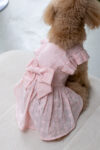 AURORA DRESS