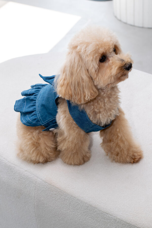 DENIM DRESS